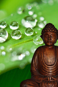 Yoga et Méditation