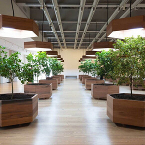 Helen Mayer Harrison y Newton Harrison, Pieza de supervivencia #5, huerto portátil, vista de exhibición. Cortesía de Whitney Museum