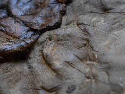 Revelations. Francesco Robba, Charles VI. Courtesy of National Gallery of Slovenia