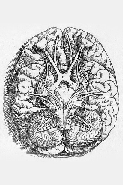 Andrés Vesalio; Lámina del libro «De humani corporis fabrica», 1543