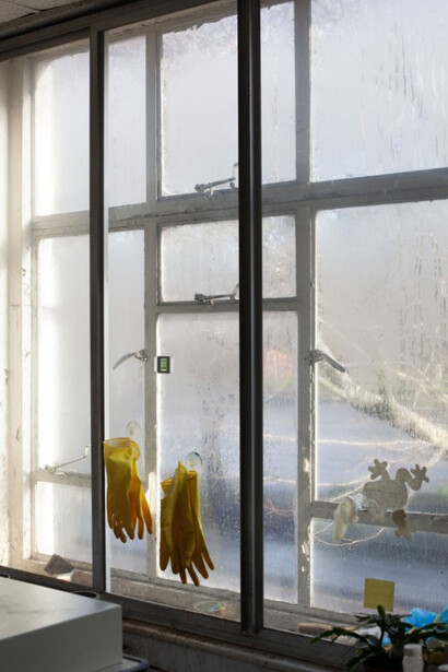 Wolfgang Tillmans. Courtesy of WIELS