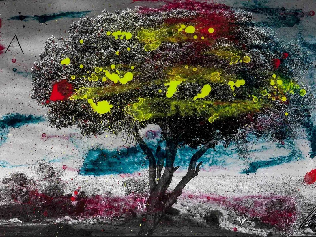 Raphael Mazzucco, A, Archival print, mixed media, encased in resin