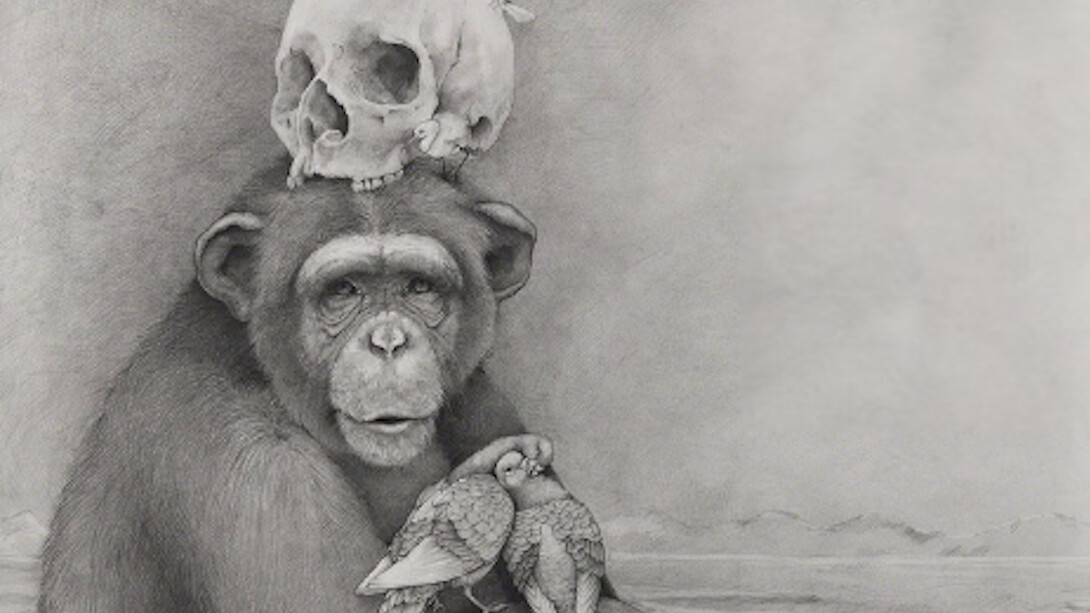Adonna Khare, Chimp with Skull, 2016. Courtesy of Hollis Taggart Galleries