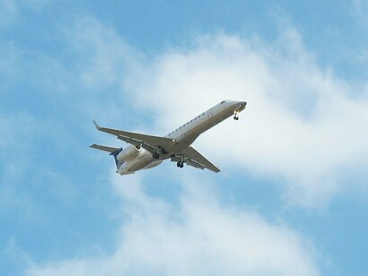 Avión en vuelo