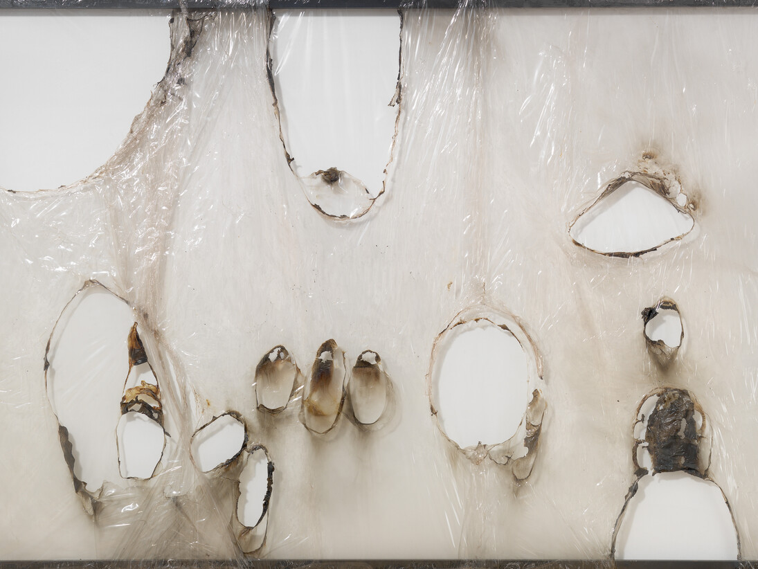 Alberto Burri, Grande bianco plastica (Large White Plastic), 1964, Burned plastic on aluminum stretcher, 191.8 x 292.1 cm, Glenstone, © 2014 Artists Rights Society (ARS), New York/SIAE, Rome, Photo: Tim Nighswander/IMAGING4ART
