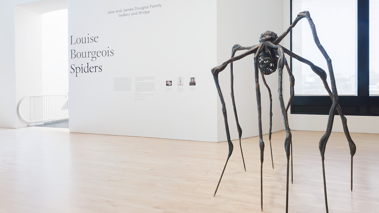 Louise Bourgeois Spiders. Courtesy of San Francisco Museum of Modern Art