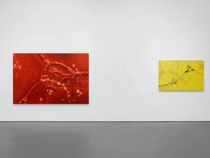 Tauba Auerbach, Easy assembly, exhibition view. Courtesy of Esther Schipper