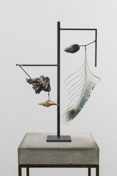 Carol Bove, Mussel Shell (detail), 2014, Peacock feather, seashells, found object, steel, concrete, and brass, 67 1/4 x 12 1/2 x 12 inches (170.8 x 31.8 x 30.5 cm). Courtesy David Zwirner, New York/London