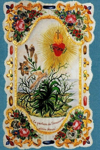 Il profumo dell'ìnnocenza