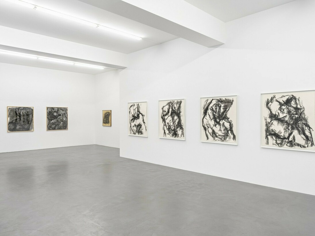 William Tucker, Charcoal Drawings
Installation view. Buchmann Galerie, 2017