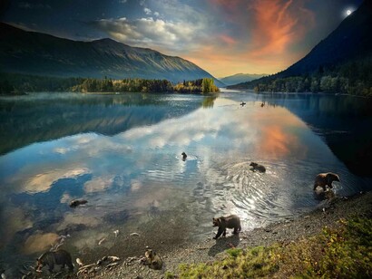 Stephen Wilkes, Grizzly bears, Chilko lake, B.C., day to night (detail), 2022. Courtesy of Gilman Contemporary