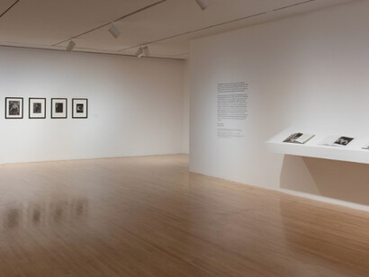 Real Worlds. Courtesy of MOCA