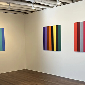 Fernando Uhía, Bipolares o Jurassic lines, vista de exhibición. Cortesía de Galería Nueveochenta