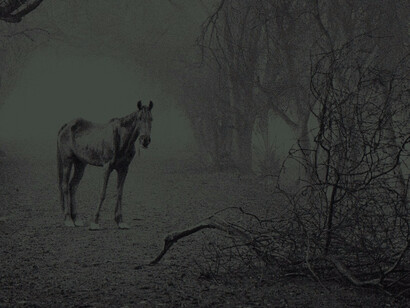 Sebastião Salgado. Courtesy of Robert Klein Gallery
