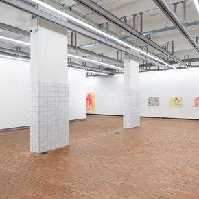 Dan Flanagan, This happened before, exhibition view. Courtesy of V1 Gallery