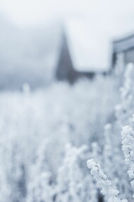 Blanca Finlandia