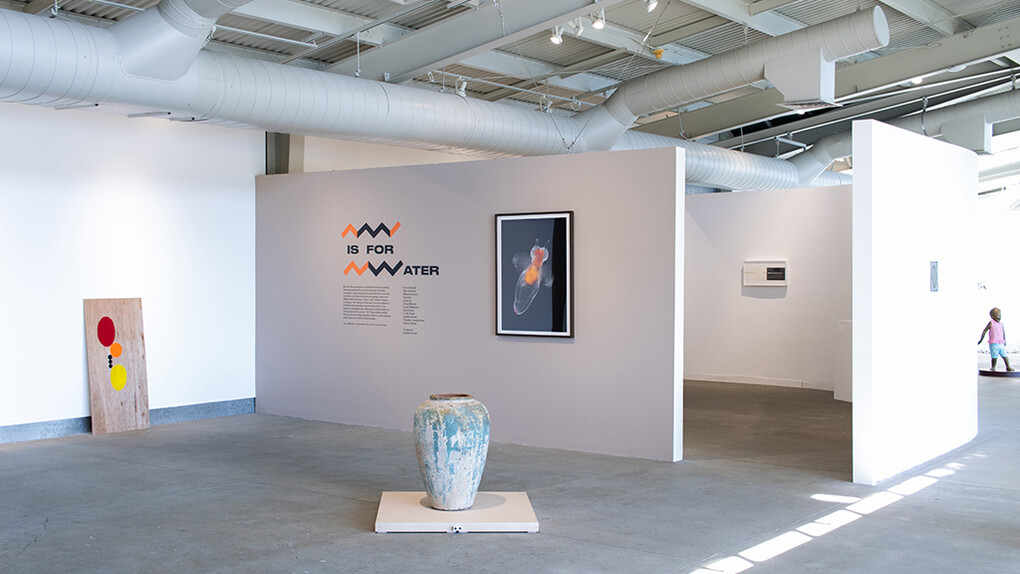Various artists, M is for water, exhibition view. Courtesy of Di Rosa Gallery