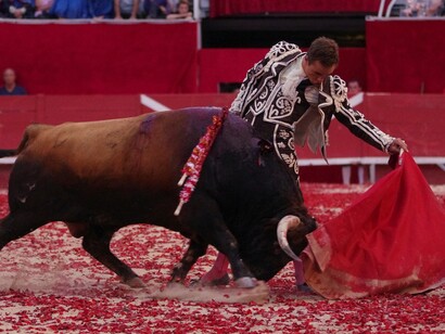 Un torero lidia al astado con su muleta