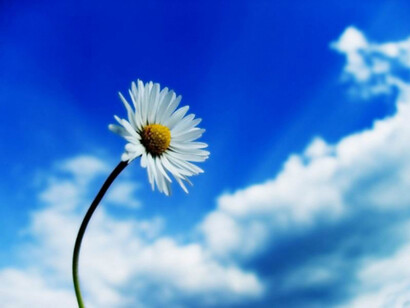 La solitudine perfetta