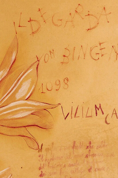 Grandi pagine, di Mariella Busi De Logu