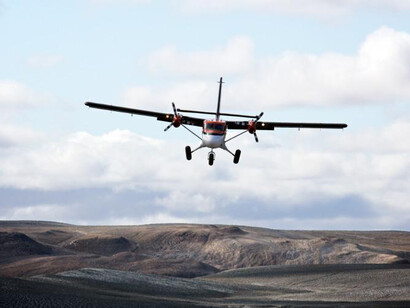 Canada Goose Arctic Gallery. Courtesy of Canadian Museum of Nature
