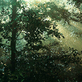 Thomas Demand, German, born 1964, Clearing, 2003, chromogenic print. Courtesy of National Gallery of Art