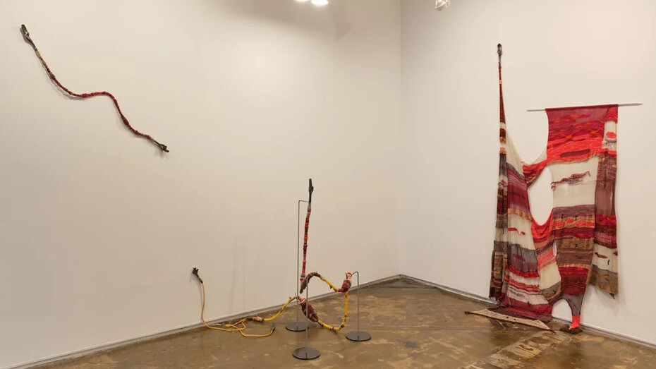 Romina Chuls, La cosecha (The harvest), exhibition view. Courtesy of A.I.R. Gallery